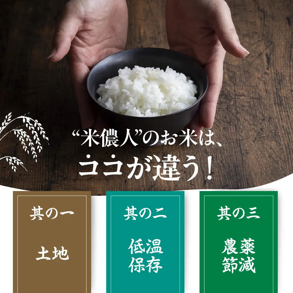 令和7年産 ミルキークイーン 10kg 白米 ブランド米 ミルキー ﾐﾙｷｰｸｲｰﾝ お米 こめ 米 ※ コメ ご飯 生活必需品 日用品 人気 美味しい 取り寄せ 10キロ 送料無料 愛知県 豊橋市