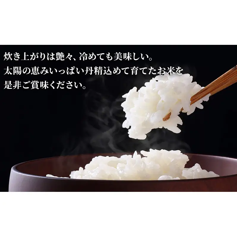淡路島産 あいはら米 キヌムスメ 10kg お米 白米 ブランド米 兵庫県 洲本市 淡路島