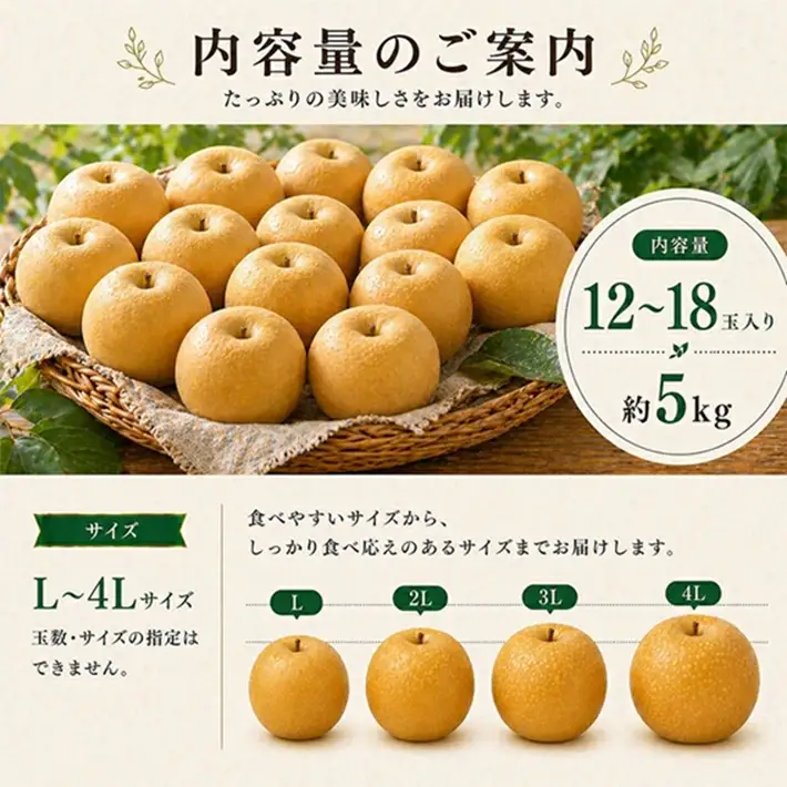 SB0933　刈屋梨　あきづき　約5kg(12～18玉入)