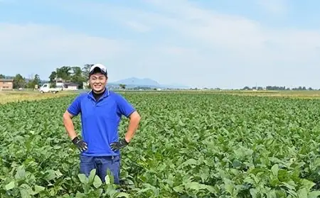 75E-21新潟県長岡産枝豆1.0kg【長岡茶豆250g×4袋入り】