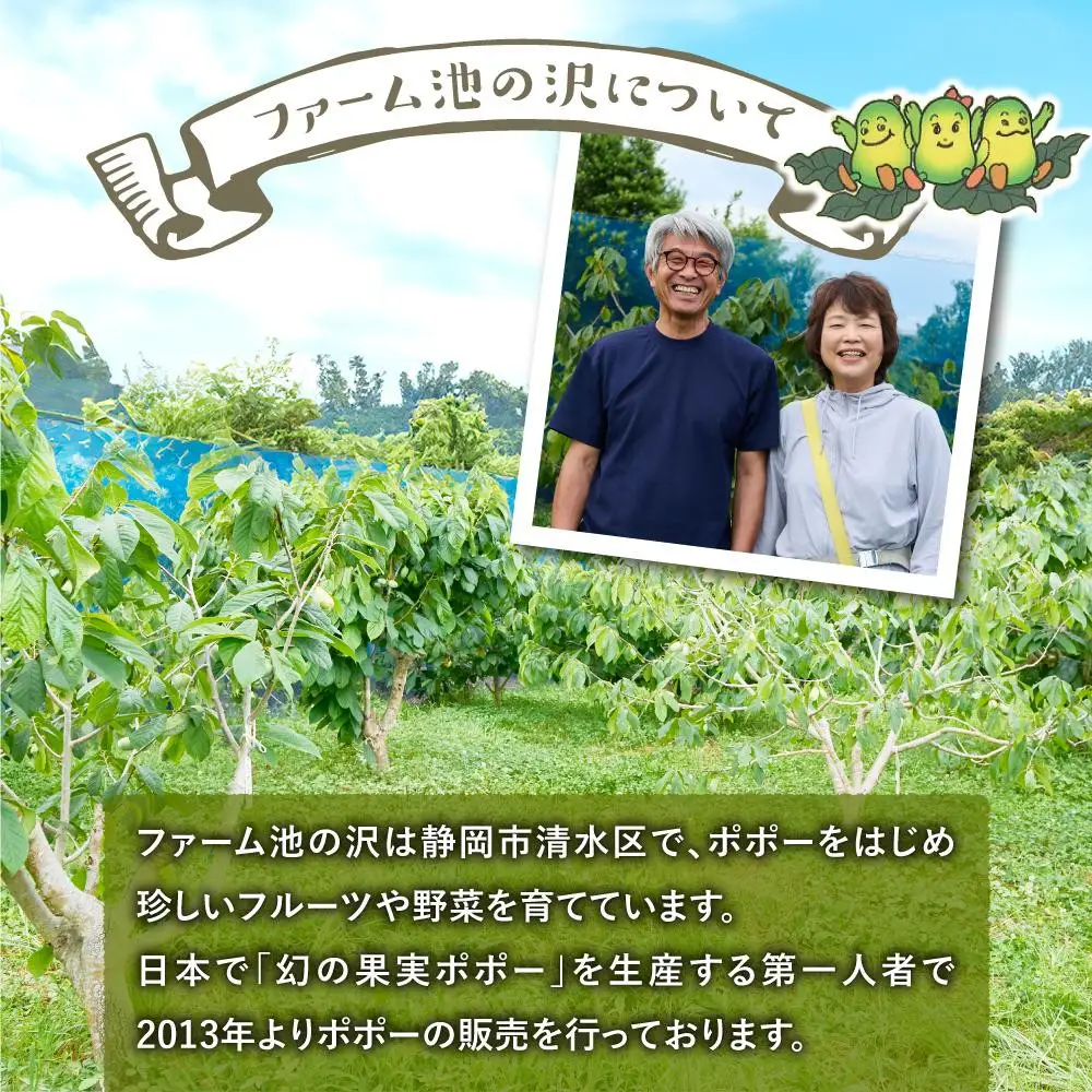 【2026年9月中旬頃より発送 受付締切9月20日】ポポー 約1kg【受取日事前打合せ可能な方限定】【配送不可：離島】幻の果実 レア フルーツ ポポー 健康 美容 美肌 ファーム池の沢 静岡市◇