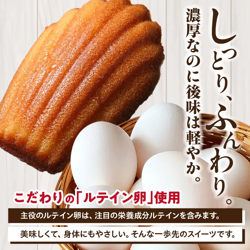 【お中元 内熨斗対応可能】マドレーヌ 14個入