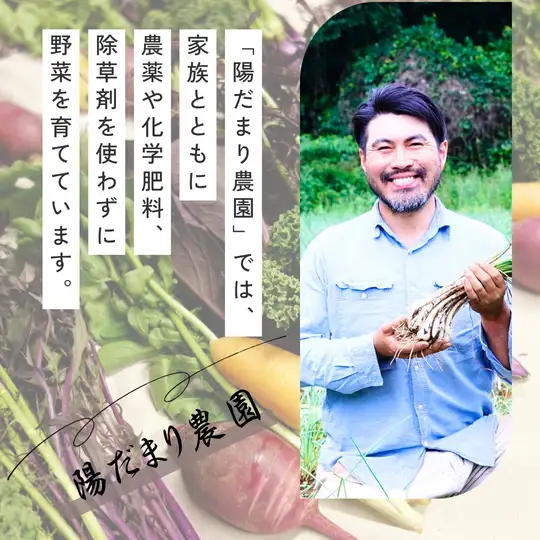 【定期便12回】季節の野菜セット（6～7品）