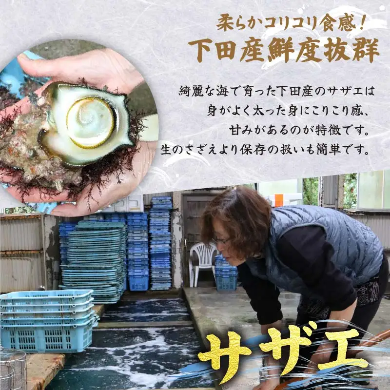 天然 ボイルサザエ 490g 伊勢海老 300g 急速冷凍