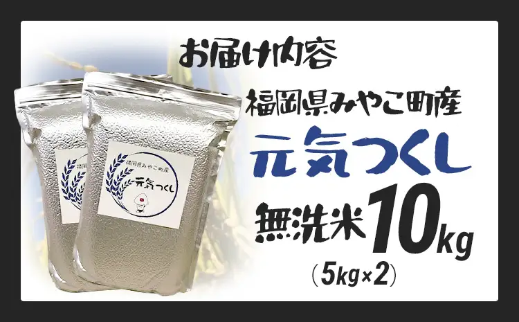 米  無洗米 令和8年産 元気つくし 10kg  米 