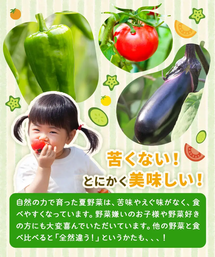旬 の 夏野菜 セット 3～5種類  浦西自然農園 野菜