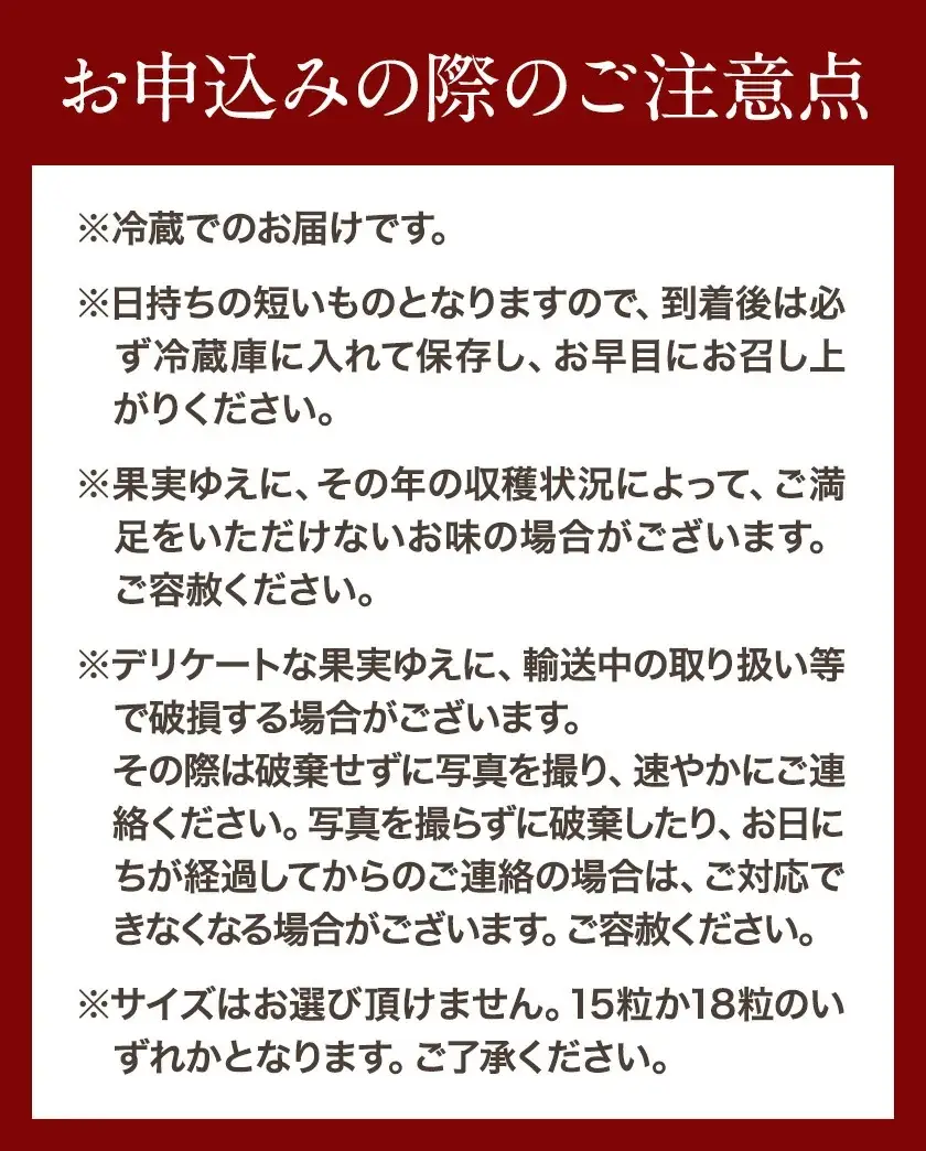 いちご まりひめ 約300g×2パック【配送不可地域あり】いちご