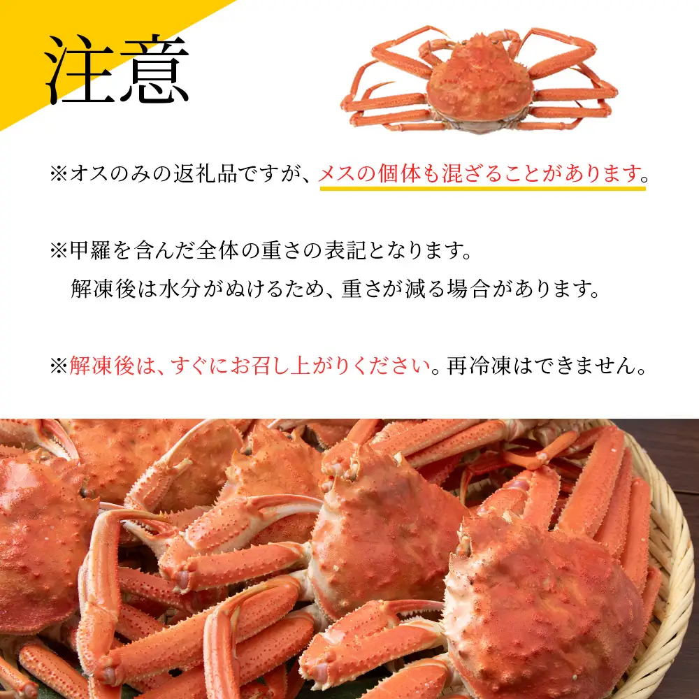【7営業日以内発送】訳あり オオズワイガニオス 大サイズ (約300～600g) 浜ゆで 2kg (4～5尾入) AS223