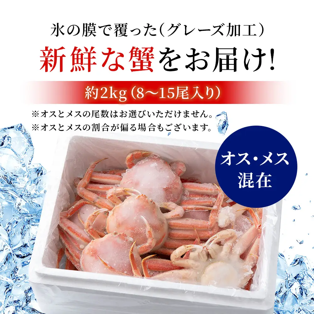 【7営業日以内発送】訳あり オオズワイガニオスメス混在 浜ゆで （8-15尾）2kg 北海道産 AS228