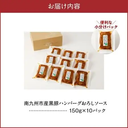 かごしま黒豚ハンバーグおろしソース10個【配送不可地域：離島】【1185888】