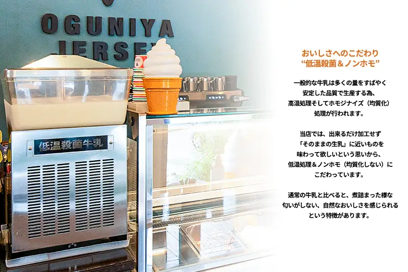 【OGUNIYA JERJEY】阿蘇小国ジャージージェラート ミルク 6個 ゴールデンミルク 牧場しぼり 山吹色のジャージー牛乳使用 お取り寄せ ご褒美 簡易のし 贈答 ギフト 記念日 ご自宅用 チルド 冷凍配送