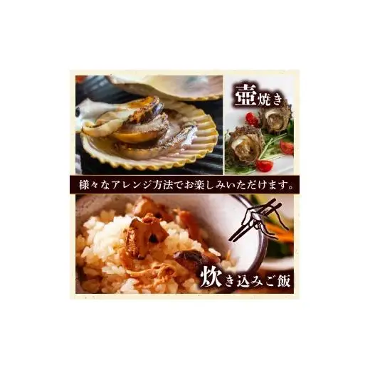サザエ 長太郎 10個 セット 