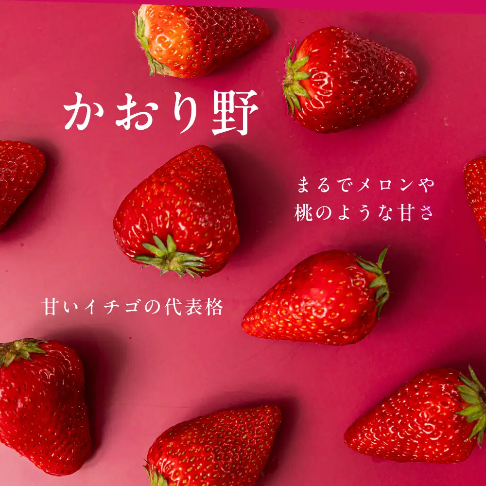 【先行予約】《2027年1月～発送》令和9年産 品種おまかせ いちご 紅ほっぺ かおり野 1kg (250g × 4p) サイズ 不揃い 農園直送 生食 ケーキ [mt2205]｜フルーツ 果物 苺 イチゴ 子ども 小分け 簡易梱包 家庭用 産地直送 岐阜県 本巣市 15000円