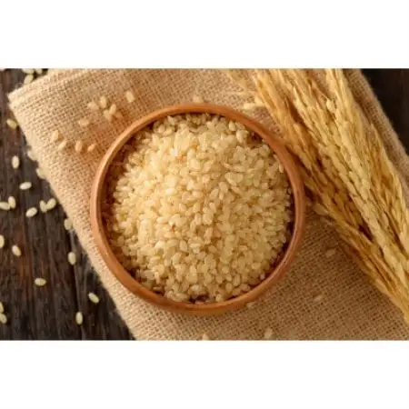 【先行予約】令和8年産新米 特別栽培米 北海道産 ゆめぴりか 5kg 玄米 美味しいお米 特A【1739725】