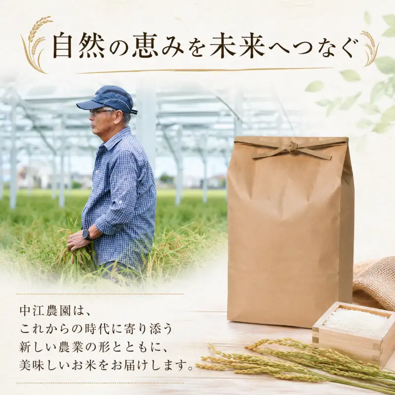 令和7年産 コシヒカリ 10kg 白米 米 数量 限定 こしひかり 10キロ 米10kg 小松島市