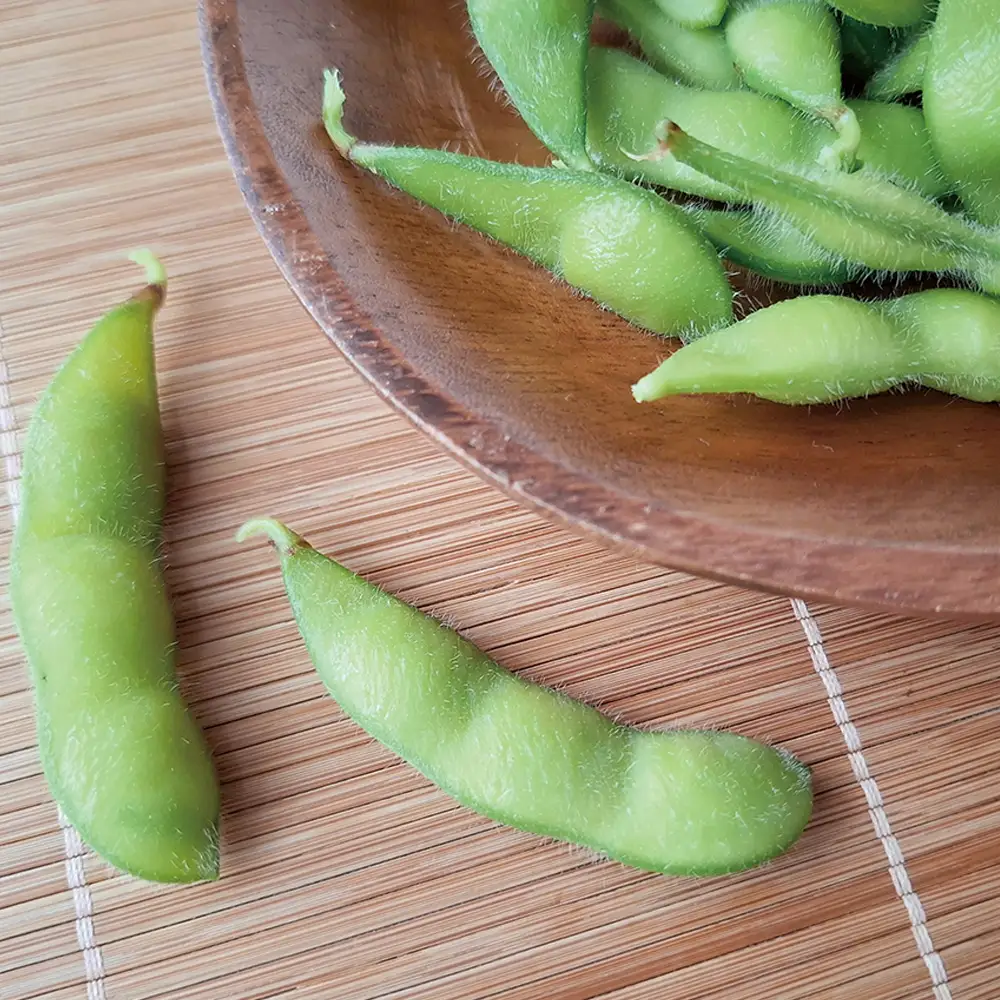 枝豆の聖地・千葉県野田市産！枝付き枝豆 約1kg ／ 枝豆 枝付き 枝豆1kg 産地直送 大莢 甘み濃厚 食べ応え ぷっくり豆 おつまみ BBQ 家飲み 新鮮 野菜 旬の味覚 千葉県 No.402