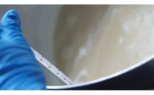 こだわり卵の高浜プリン8個＆自家製生麺（生パスタ）4食分_37-134-1