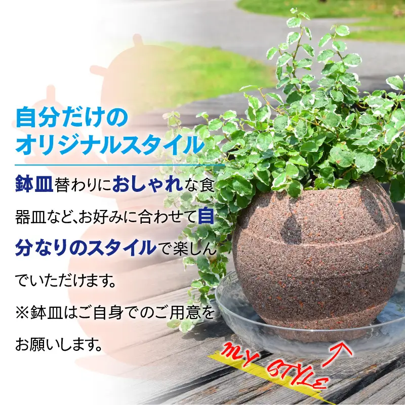 アクアプラントポットHACHI「玉(ｷﾞｮｸ)」茶_33-115-1-1