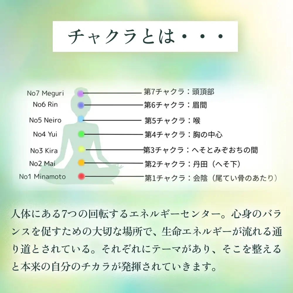  オーガニックハーブティー 無添加 ノンカフェイン No6 Rin 第6チャクラ 目覚めの光 30g 1袋 ギフト プレゼント [012PT006]