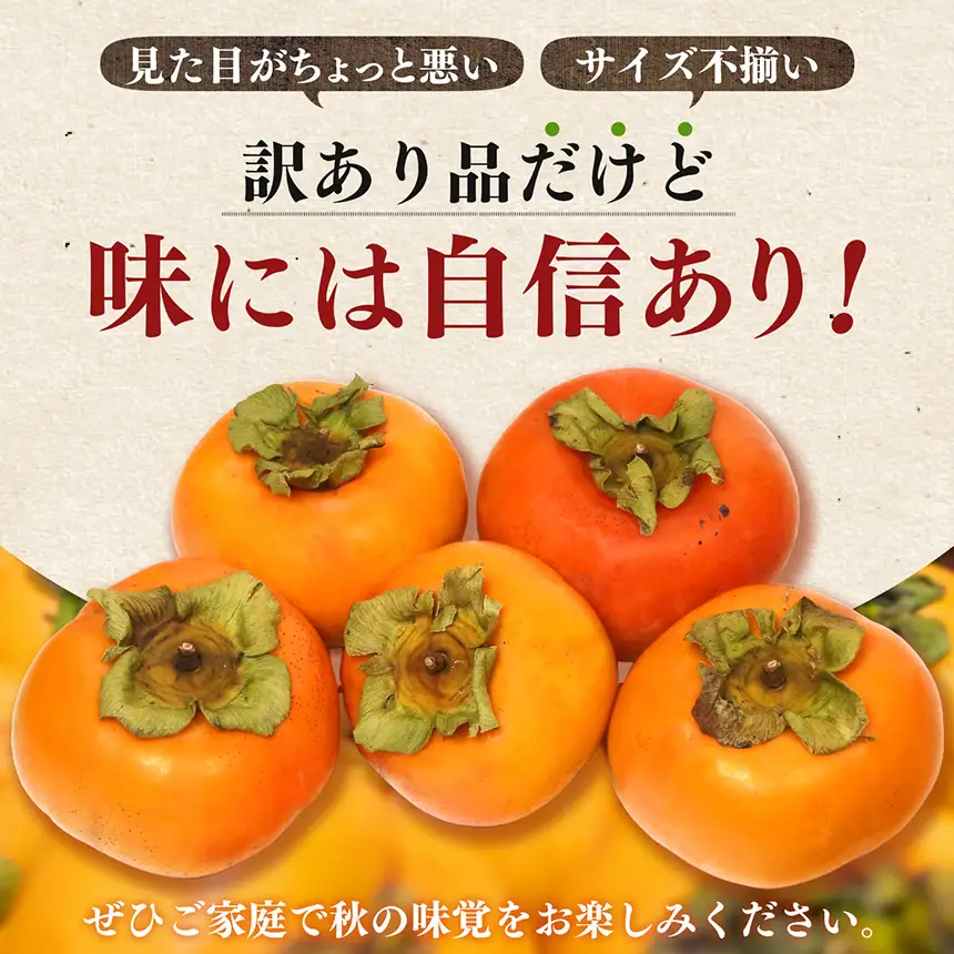 わけあり 上田さんちの柿 富有柿 12～14個 | フルーツ くだもの 果物 柿 かき カキ 日本一の柿のまち 秋の味覚 自宅用 家庭用 特産品 果実 11月 12月 秋 旬 味覚 グルメ お取り寄せ 送料無料 大容量 農家直送 産地直送 ビタミン タンニン 食物繊維 豊富 美容 健康 上田農園 | 奈良県 五條市