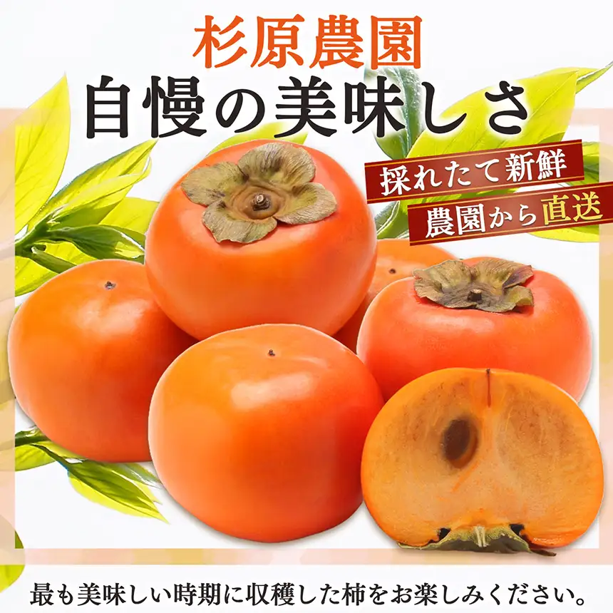 真空パックで 新鮮 ！ 貯蔵 富有柿 24 個～28 個 L ～ 2L サイズ |お年賀 フルーツ くだもの 果物 柿 かき カキ 富有柿 奈良県 五條市 デザート 人気 国産 産地直送 果実 12月 順次発送 秋 旬 味覚 グルメ お取り寄せ 送料無料 大容量 農家直送 ビタミン タンニン 食物繊維 豊富 美容 健康 特産品 甘い 多汁 甘柿 杉原農園 柔らかい 冷蔵