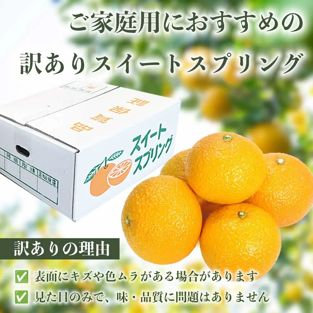 先行予約 訳ありスイートスプリング みかん 約5㎏ 【2027年1月中旬～2027年3月上旬配送予定】