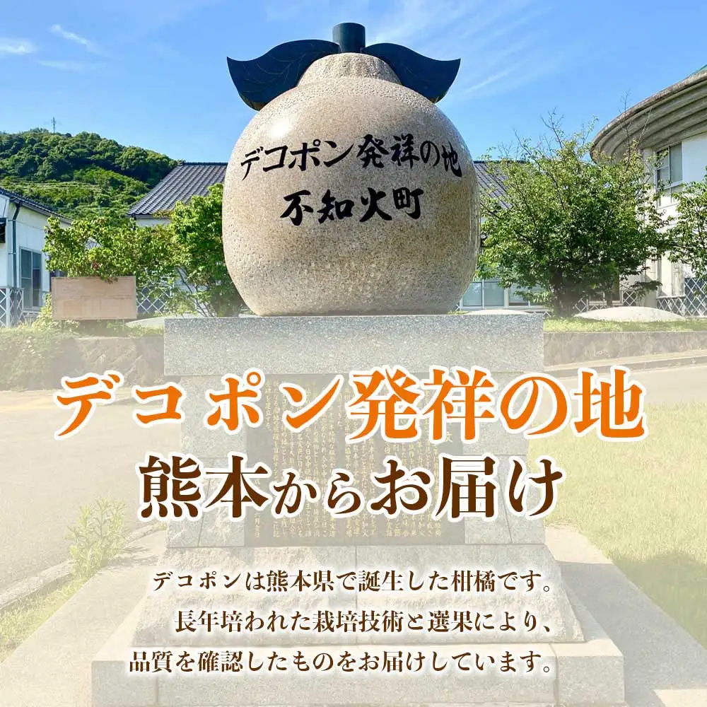 先行予約　デコポン 約2㎏（5～9玉）【2026年12月上旬～2027年4月上旬発送予定】
