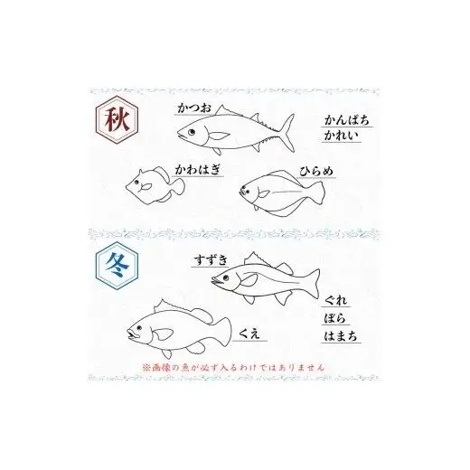 【魚屋のプロが厳選！】 鮮魚 BOX 4kg 鮮魚