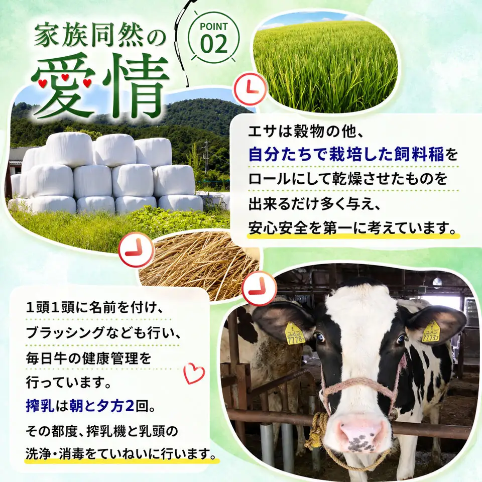 【ふるさと納税】＜吉本牛乳 （ さかわの地乳 ）1L × 合計30本 セット（隔週 ５回発送 ／ 定期便）＞ 吉本乳業 高知県 佐川町【冷蔵】成分無調整 隔週届く 佐川町産生乳100％ 1000ml ぢちち NHKあさイチで紹介されました！