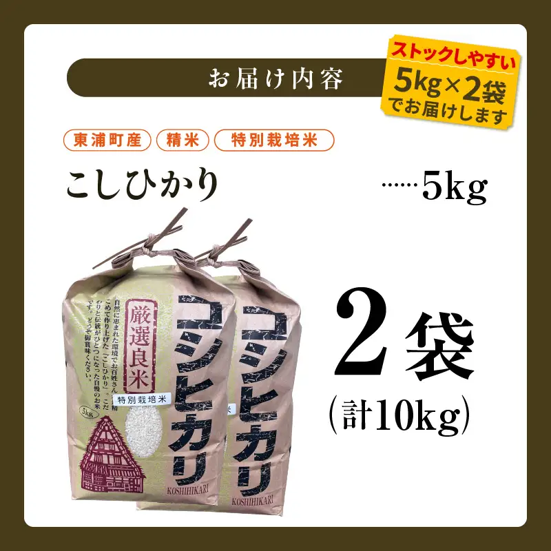 東浦町産　こしひかり　約10kg（5kg×2袋）│米 お米 コメ 白米 精米 新米 愛知県産