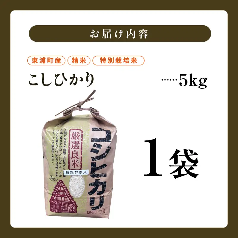 東浦町産　こしひかり　約5kg│米 お米 コメ 白米 精米 新米 愛知県産