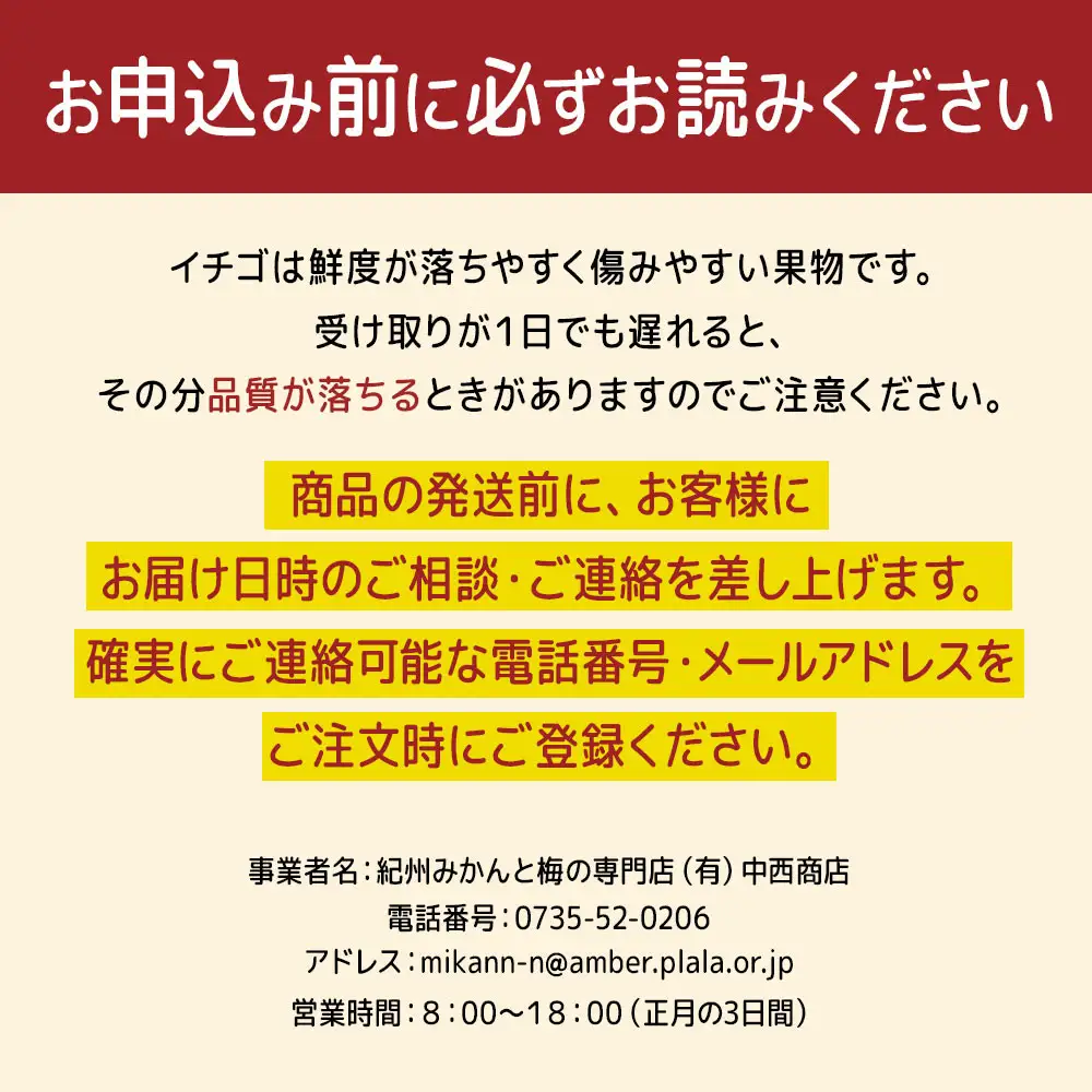[先行予約] 和歌山県 オリジナル まりひめ イチゴ 2パック入り（3L～L寸）