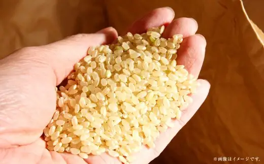 【 令和7年産 】 岡山県産 きぬむすめ 早炊き 玄米 10kg （ 2kg × 5袋 ） 栄養 時短 炊飯器 洗米不要 食味 お米 米 こめ コメ 白米 白飯 飯 ご飯 ブランド米 ブランド 国産 おにぎり