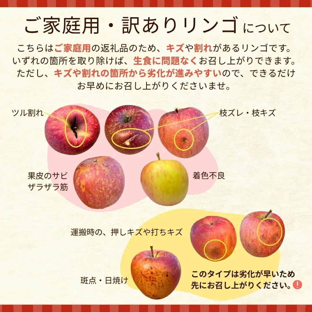 【2026年先行予約】千曲市産りんご 季節のりんご3種 約5kg 訳あり 家庭用 | りんご