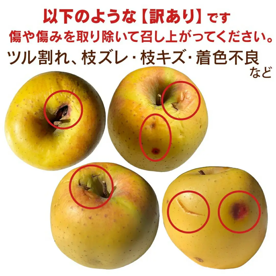 【2026年先行予約】千曲市産 シナノゴールド りんご 約3kg 訳あり 家庭用 | りんご