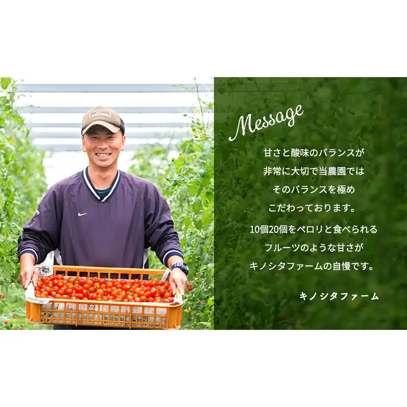 【2026年10月～順次出荷】定期便 3回 ミニトマト3kg　アマメイド糖度8度以上　高リピート率野菜