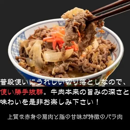 A1687.訳あり！博多和牛A4～A5ランク切り落とし500g（250g×2）【博多和牛】