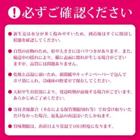 【先行受付】枕崎産 新生姜 約3kg(国産・農家直送)【2026年9月上旬より順次発送】 A3-38【配送不可地域：離島】【1739865】