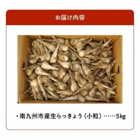 生らっきょう(小粒) 5kg【配送不可地域：離島】【1739740】