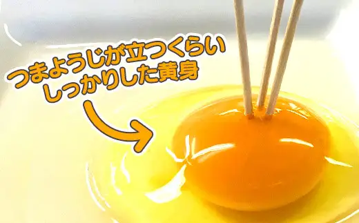 【３か月定期便】ひまわりたまご紅白セット 月１回（全３回）３か月セット ※破卵補償 卵 鶏卵 玉子 大容量 お試し おためし