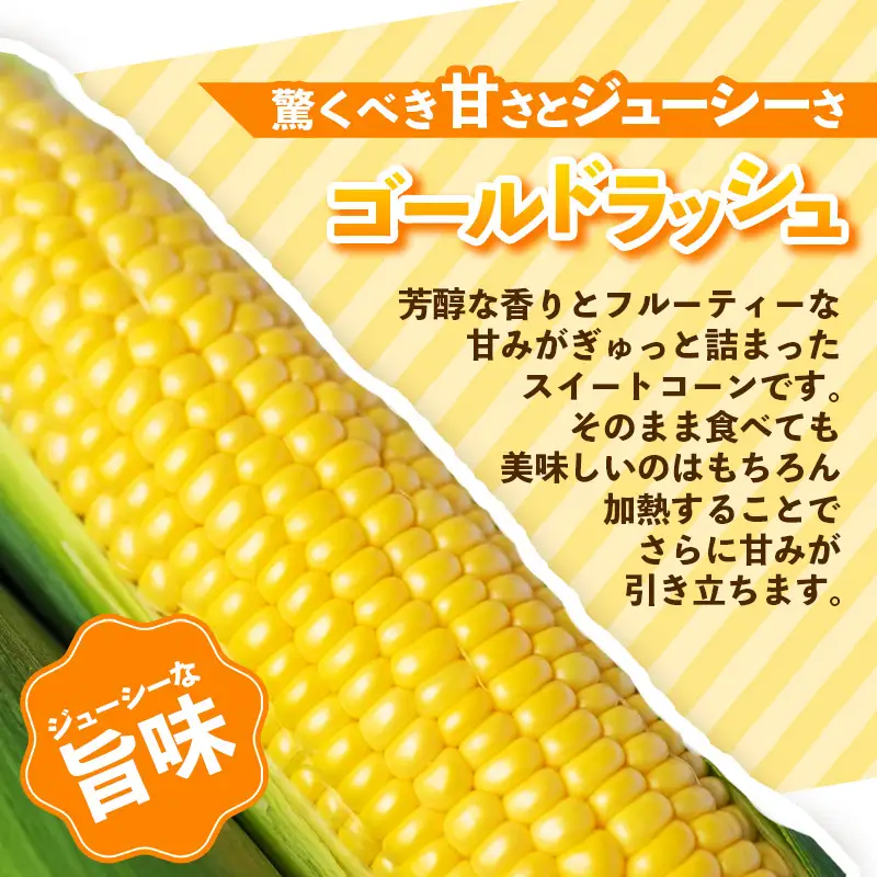 興膳農園のスイートコーン ゴールドラッシュ 約4kg(9~11本)【スイートコーン とうもろこし イエローコーン 夏 野菜 旬 バーベキュー BBQ 産地直送 国産 興膳農園 福岡県 筑前町 BS002】