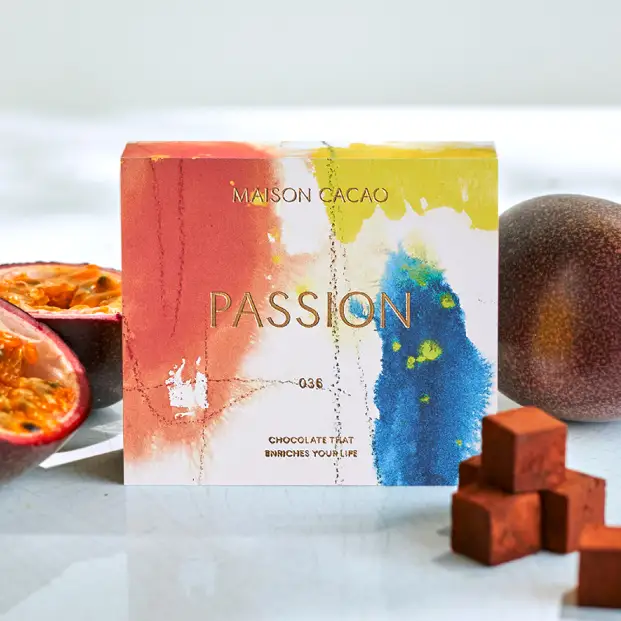 MAISON CACAO メゾンカカオ アロマ生チョコレート 2種セット（16粒×2箱）ハイカカオ パッションフルーツ ギフトボックス入 冷凍配送 神奈川県茅ヶ崎市