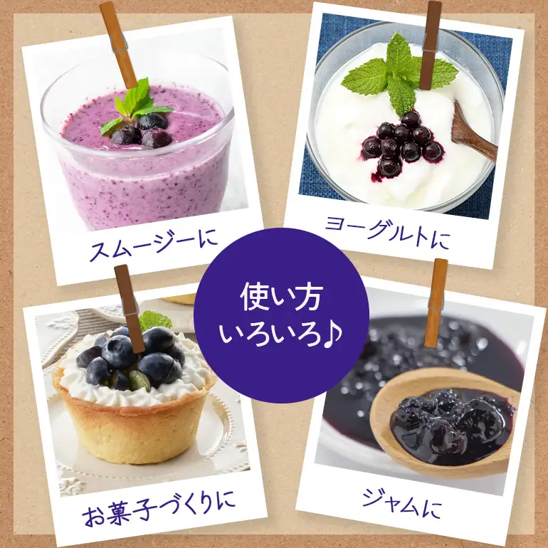 生ブルーベリー 600g（100g×6P） A16-021