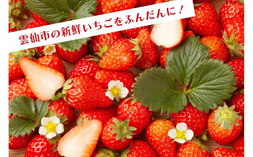 いちごジャム3個セット