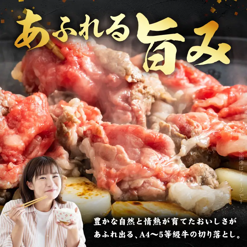 S074-016-T03_【定期便3回】天草黒牛 モモ・スネ肉 切り落とし約500g(250g×2P） 黒毛和牛 A4～5等級