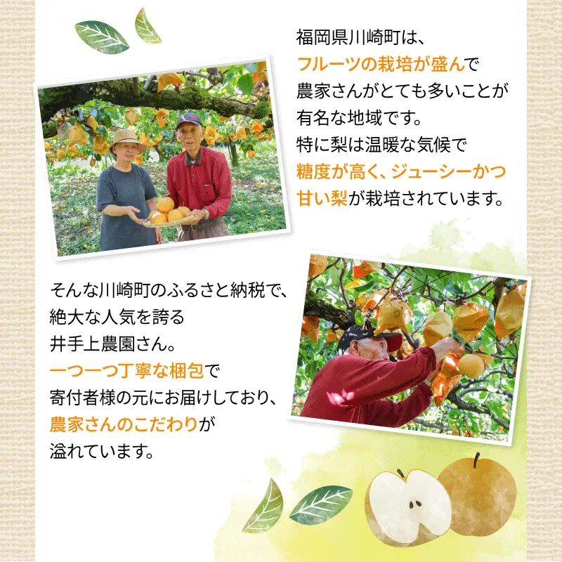 【2026年8月初旬頃発送】 梨 5kg 幸水 梨 IDG