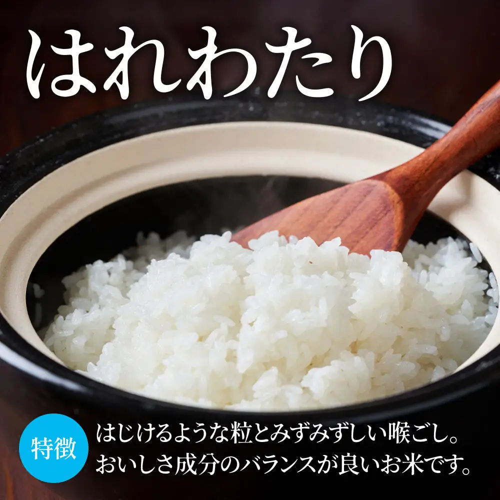 米【特別栽培米】はれわたり 玄米 5kg（5kg×1袋）令和7年産 特A 青森県弘前市産