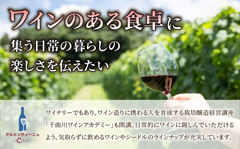 GI NAGANO認定ワイン　赤白飲み比べセット（メルローヴィラージュ、シャルドネヴィラージュ）|【アルカンヴィーニュ】日本ワイン 長野ワイン 東御ワイン ワイン 長野 東御 赤ワイン 白ワイン 辛口 テーブルワイン 熟成