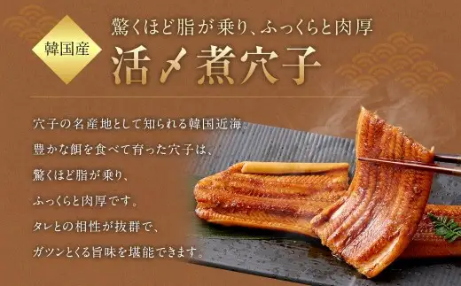 飯田商店 活〆煮穴子 （ 75～90g × 1袋 ） とプレミアム煮穴子 250g （ 250g × 1袋 ） 食べ比べセット タレ （ 50g ） 付 魚 魚類 お魚 穴子 アナゴ あなご 魚料理 冷凍 保存料不使用 着色料不使用 添加物不使用 食べ比べ セット