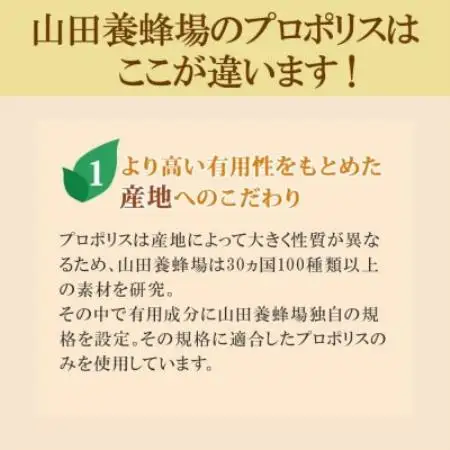 【毎月定期便】プロポリス粒 (486)全6回【4086621】